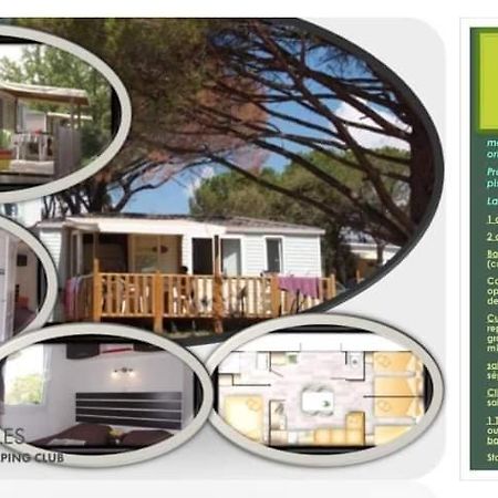 Mobil Home Detente 8 Personnes Le Muy Εξωτερικό φωτογραφία